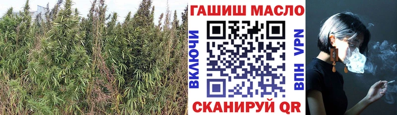 Купить где Белёв Дистиллят ТГК вейп с тгк