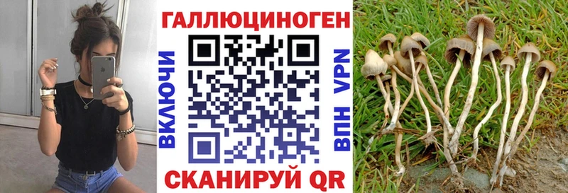 Псилоцибиновые грибы мицелий  Купить где  Белёв 
